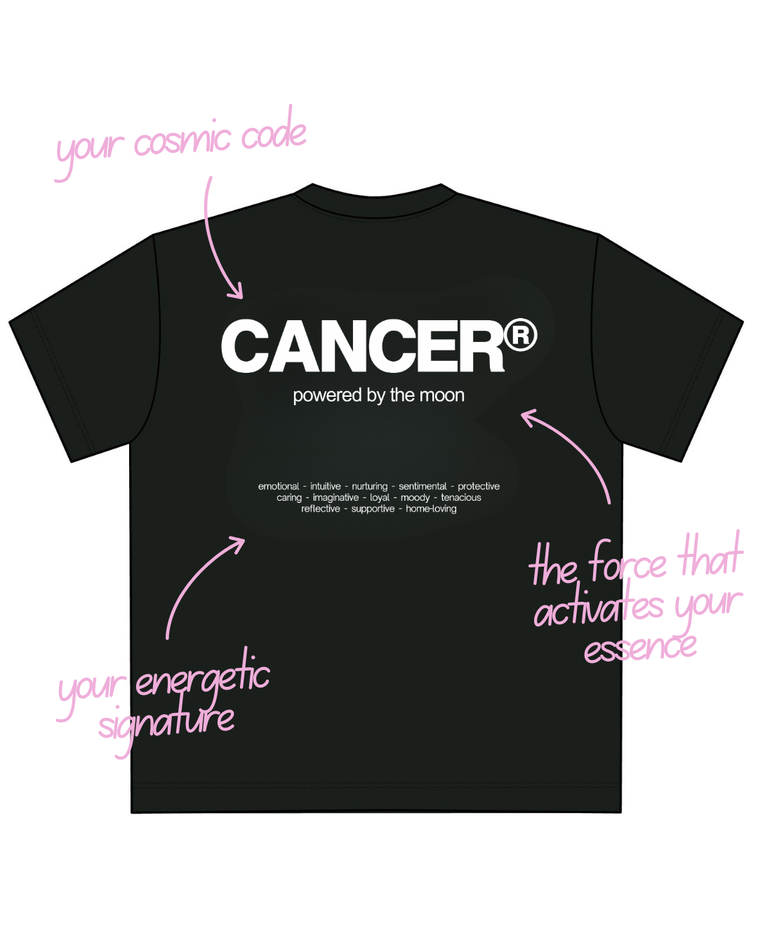 THE SIGNATURE T-SHIRT