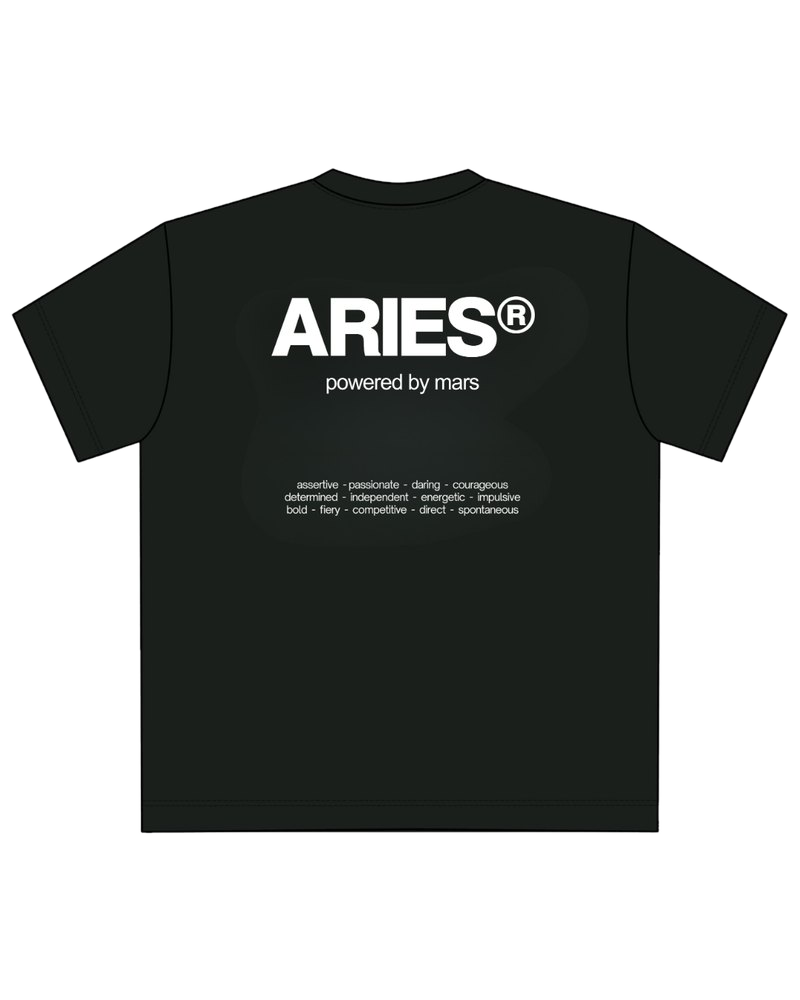 aries signature t-shirt, back print